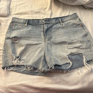 Gap Distressed Shorts NWOT
